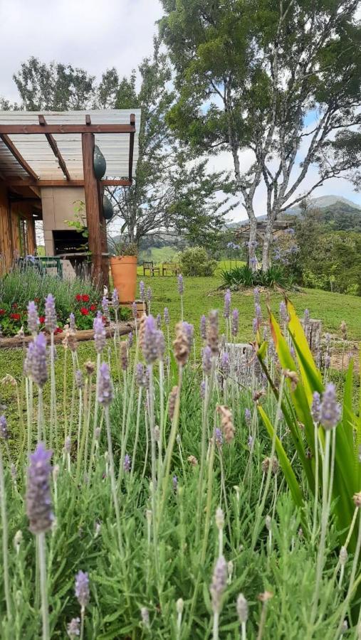 Sitio Recanto Da Guarda - Cabana Araucaria Бон-Ретиру Экстерьер фото